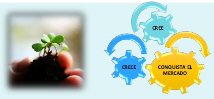 Confianza emprendedora Cree, crece y conquista tu mercado